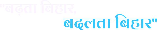 Section Decoration